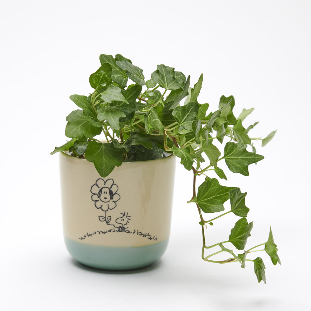 Peanuts Stoneware Planter Love is in Bloom