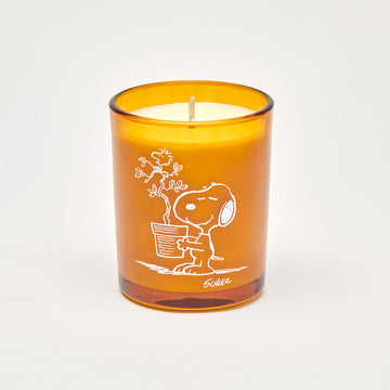 Peanuts Candle - Blooms